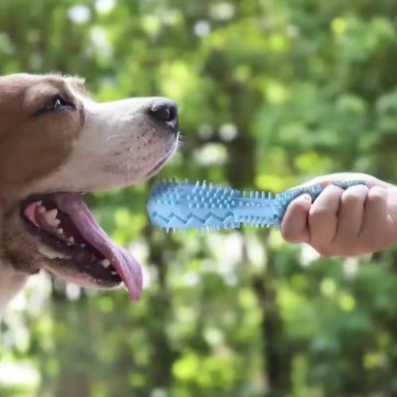 Juguete para masticar perro con bastón de goma y limpieza dental - imagen 5