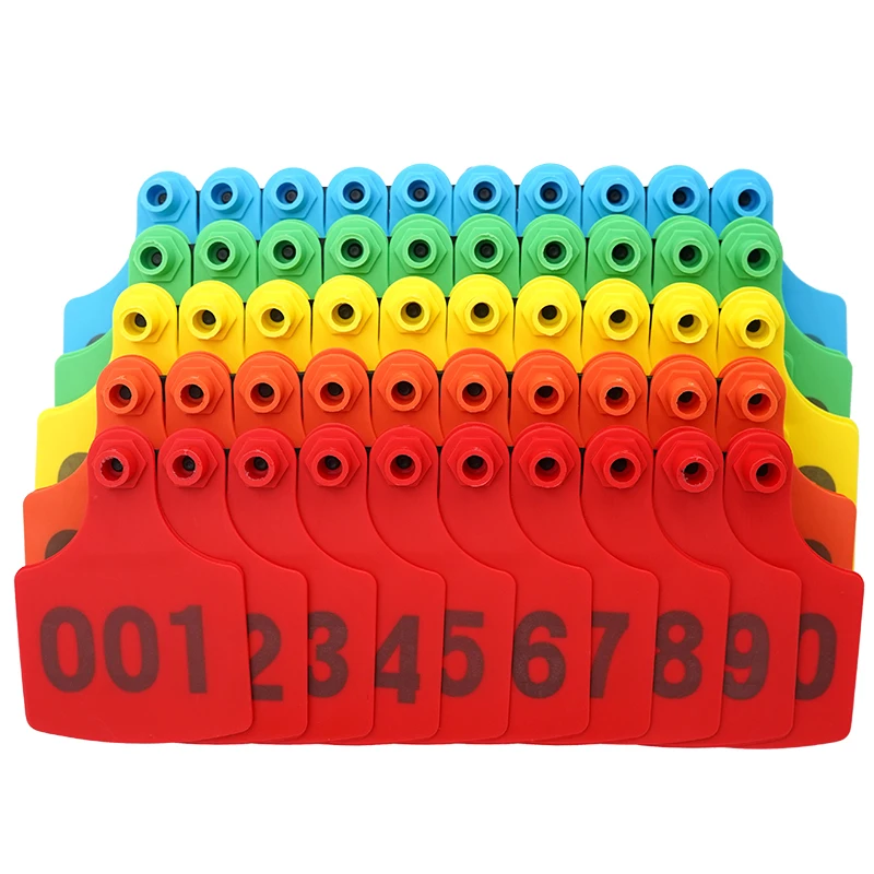 Conjunto de 100 tarjetas listas para usar