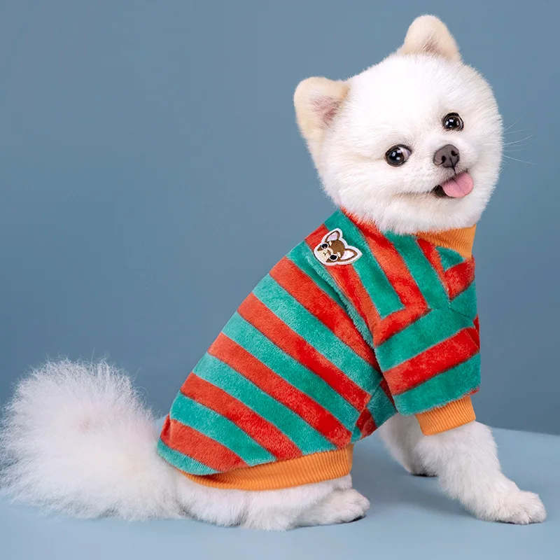 Sudadera arcoíris puesta en un schnauzer
