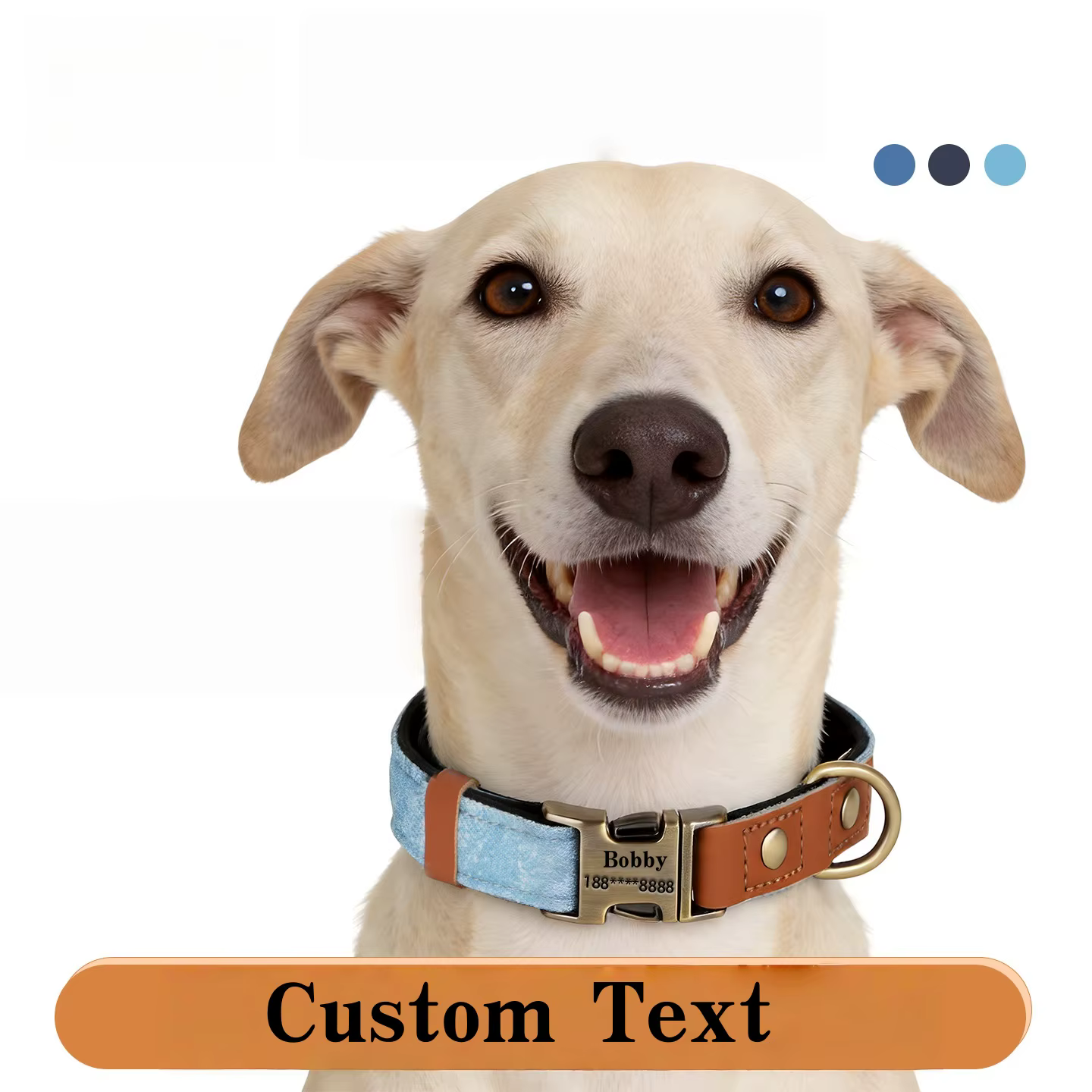 Conjunto correa y collar perros y cachorros con placa identificación - imagen 2