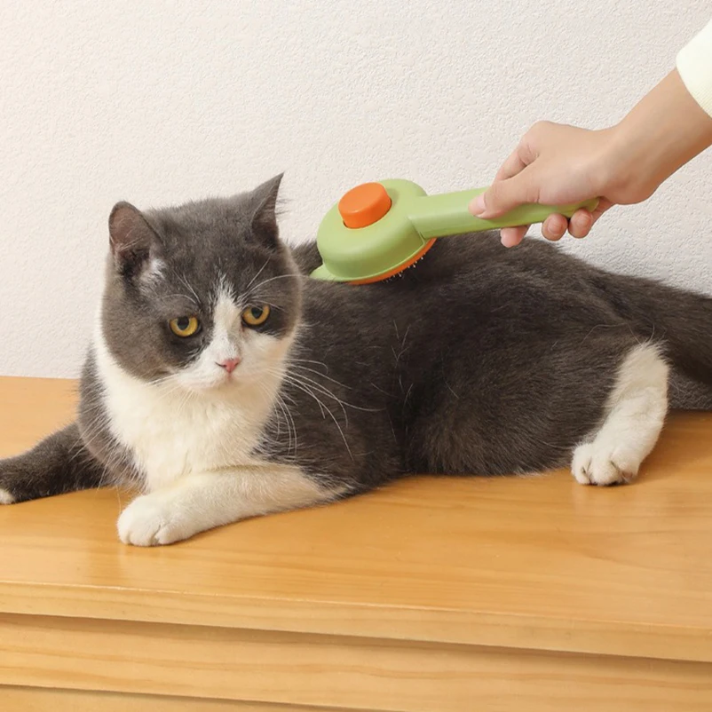 Aplicación en gato de pelo largo