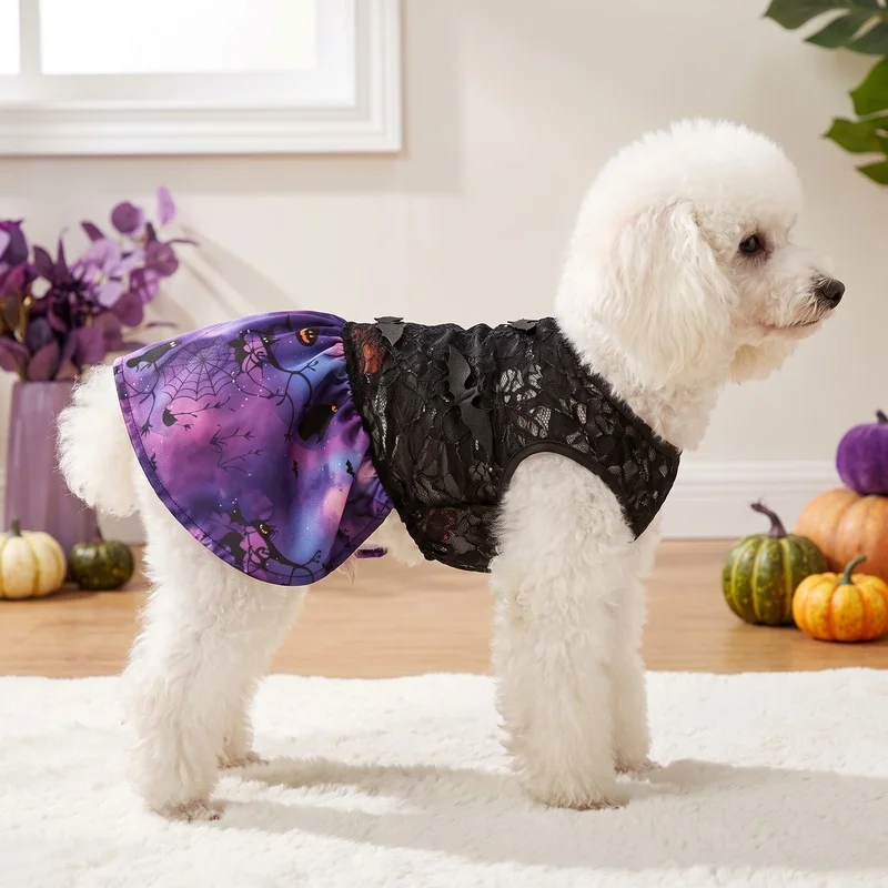 Disfraz murciélago Halloween para gatos y perros – Tutú de encaje - imagen 2