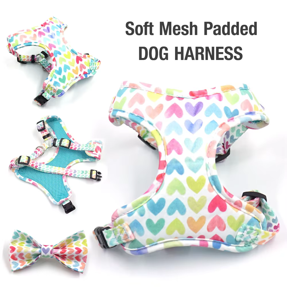 Conjunto collar para perro pequeño acolchado con correa y bolsas - imagen 5