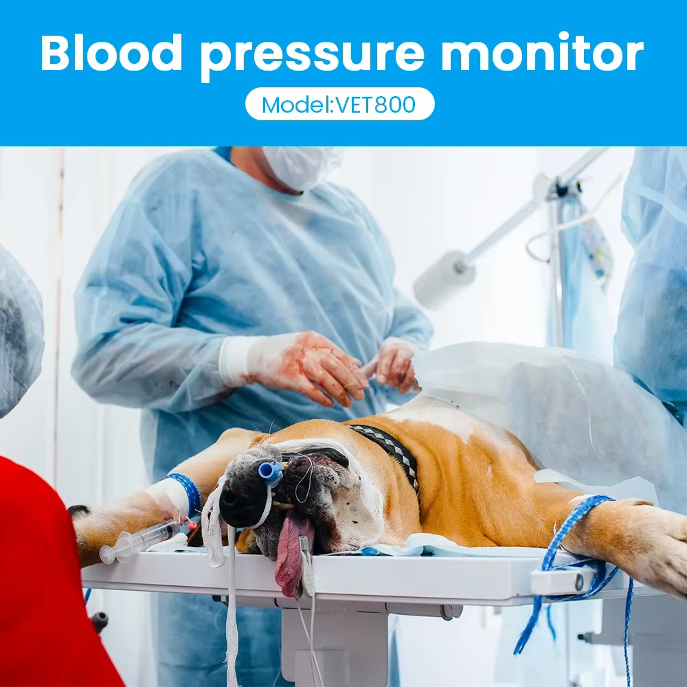 Especificaciones técnicas y rangos de medición para animales grandes y pequeños