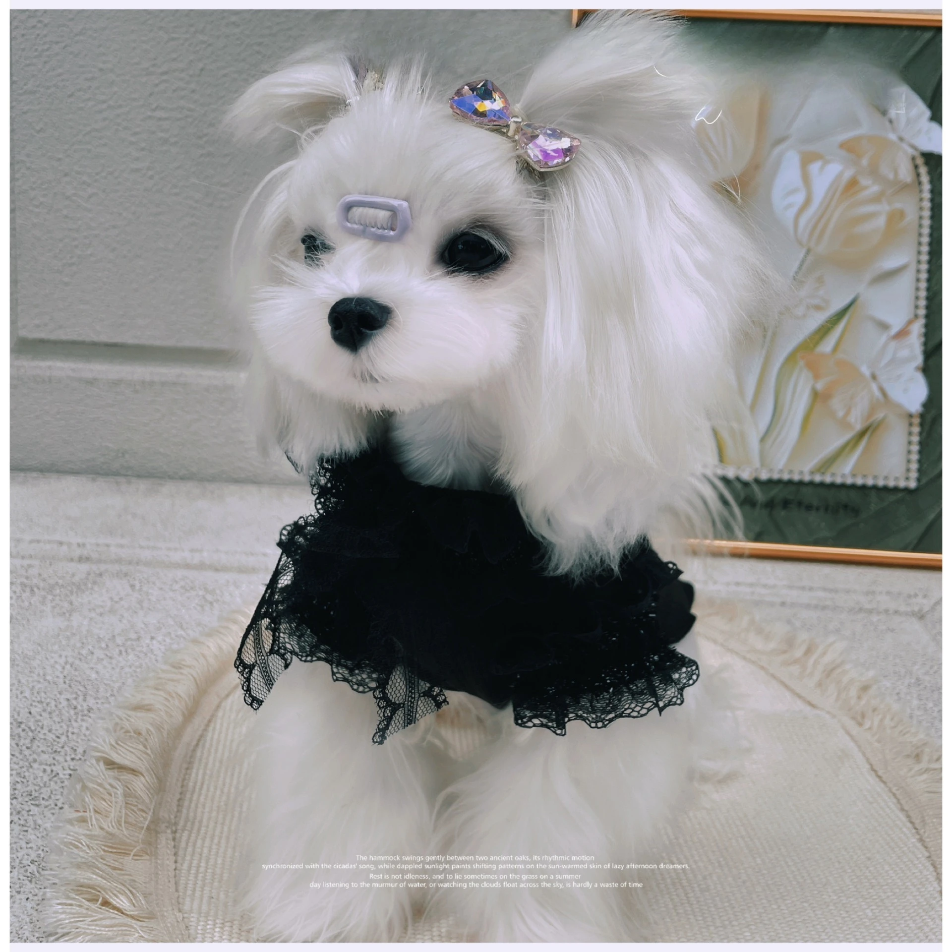 Detalle del tejido de terciopelo y peluche