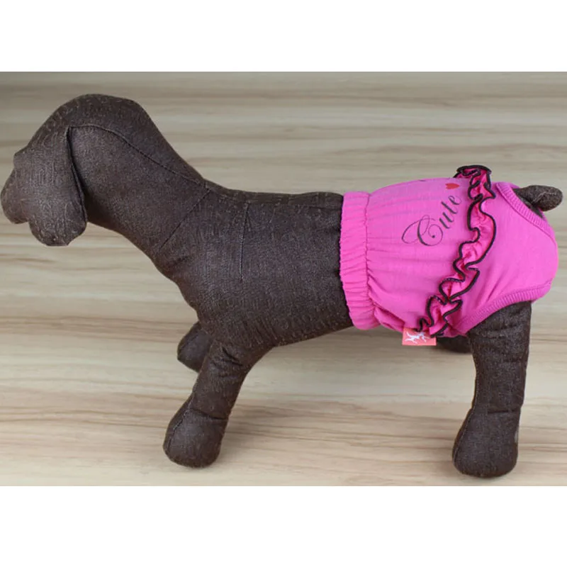 Modelo instalado en perro