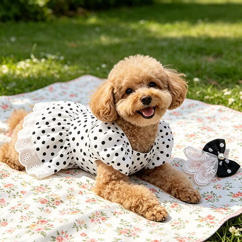 Vestido tutú princesa para perro y gato – Encaje y manga abullonada - imagen 3