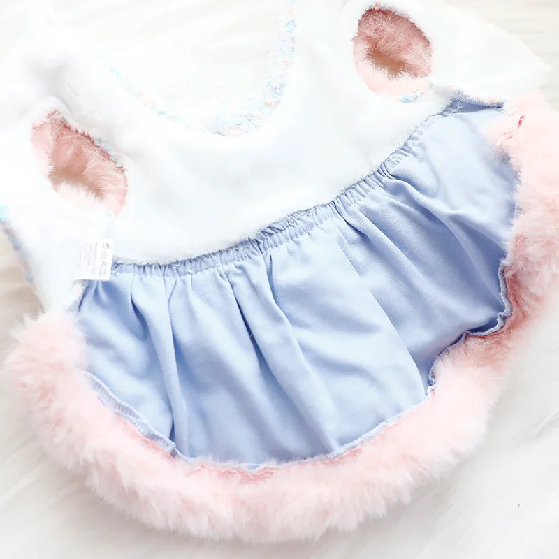 Mascota con el vestido puesto