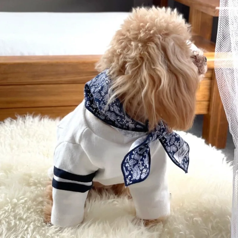 Sudadera con capucha para perros y gatos – Ropa otoñal Chihuahua - imagen 4