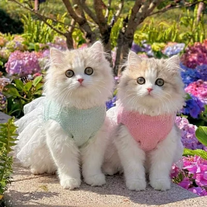 Vestido calado de verano para perros y gatos – Estilo caniche con lazo - imagen 2