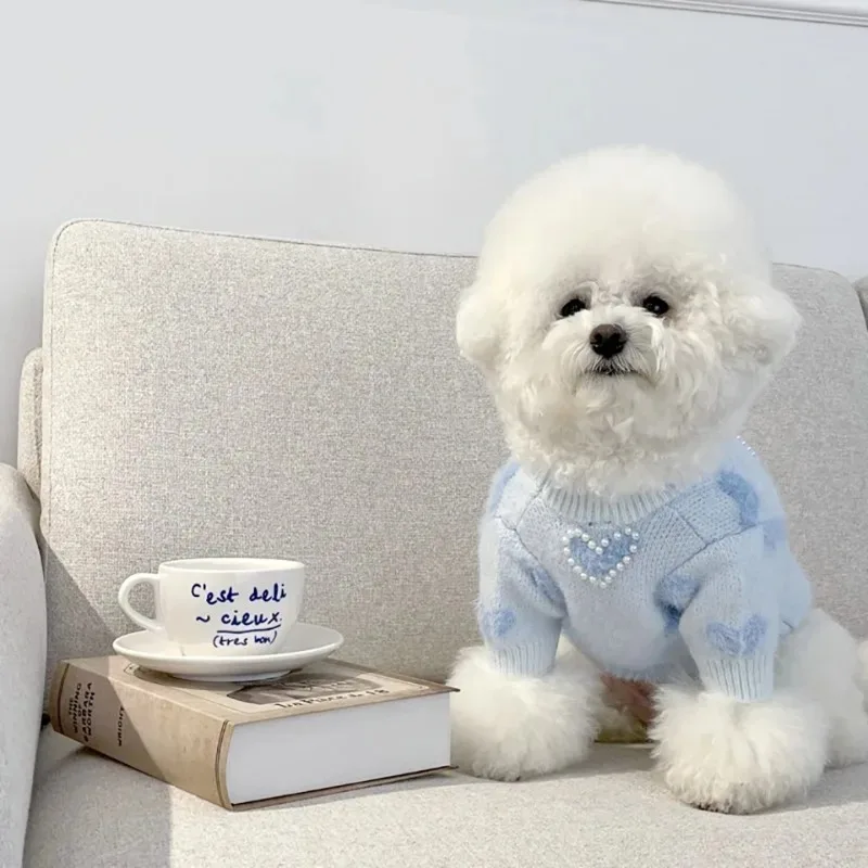 Suéter azul para perro en uso diario