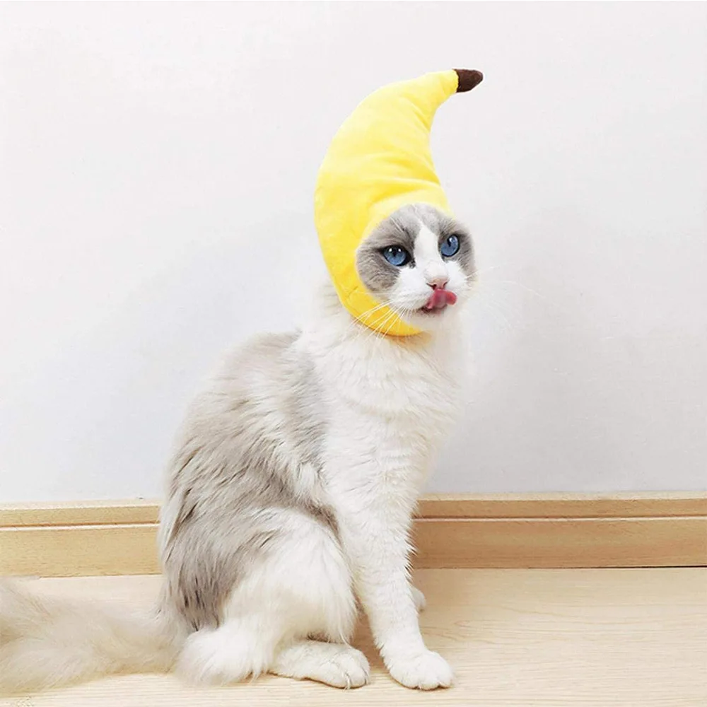 Gorro divertido en mascota