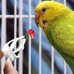 Comedero para aves con pinza: accesorio para verduras y sepia