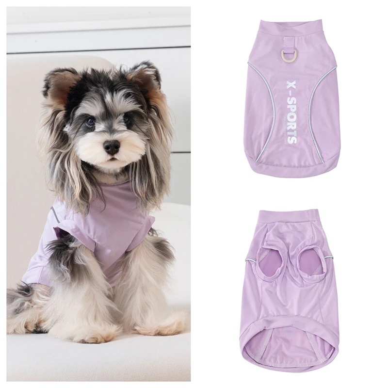 Medición de talla para ropa de perro