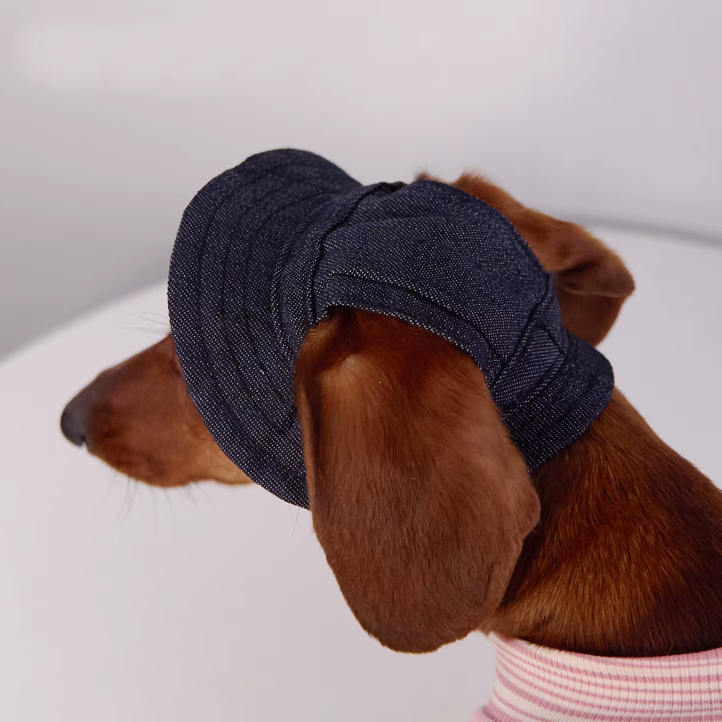 Gorra para perro con visera y protección solar en paseos