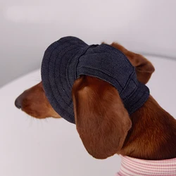 Gorra para perro con visera y protección solar en paseos