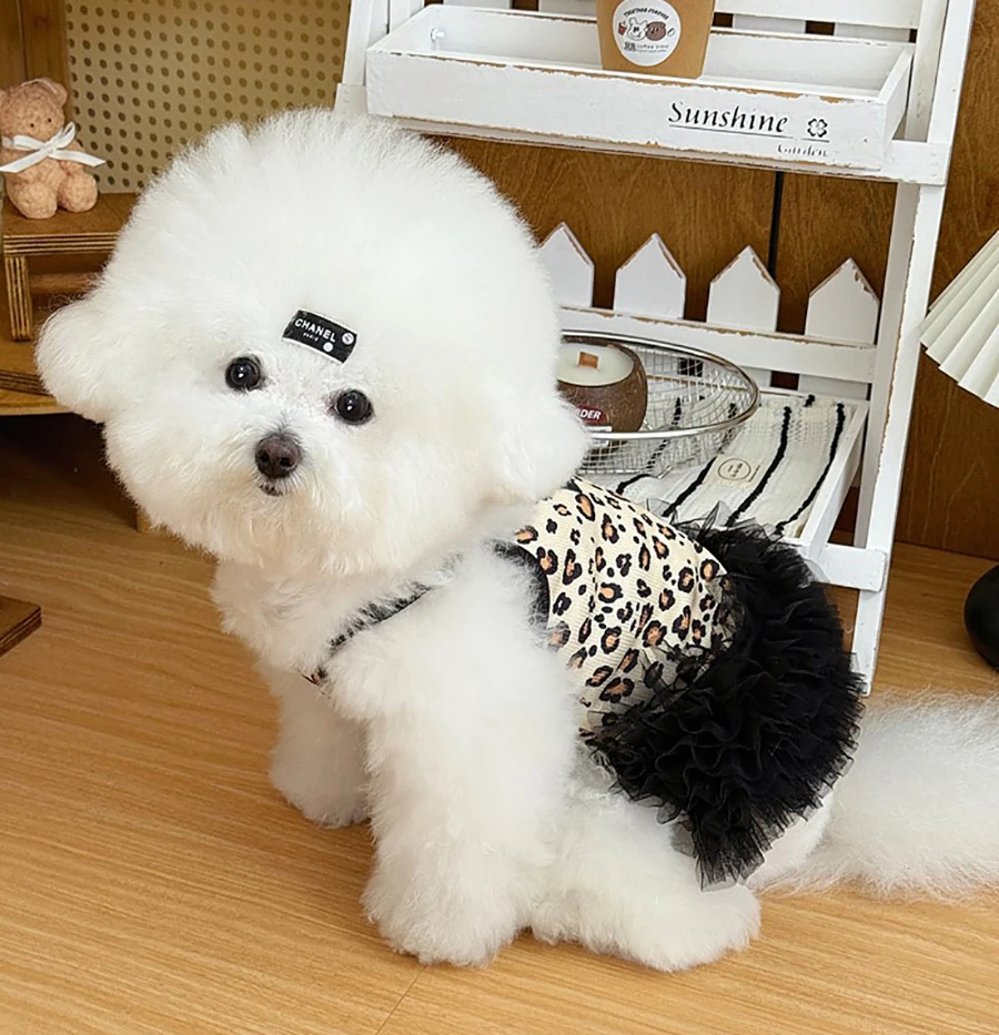Falda fina para perro pequeño