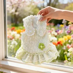 Vestido de Encaje para Perro y Gato – Falda de Princesa