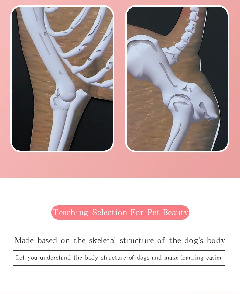 Piezas separables del esqueleto