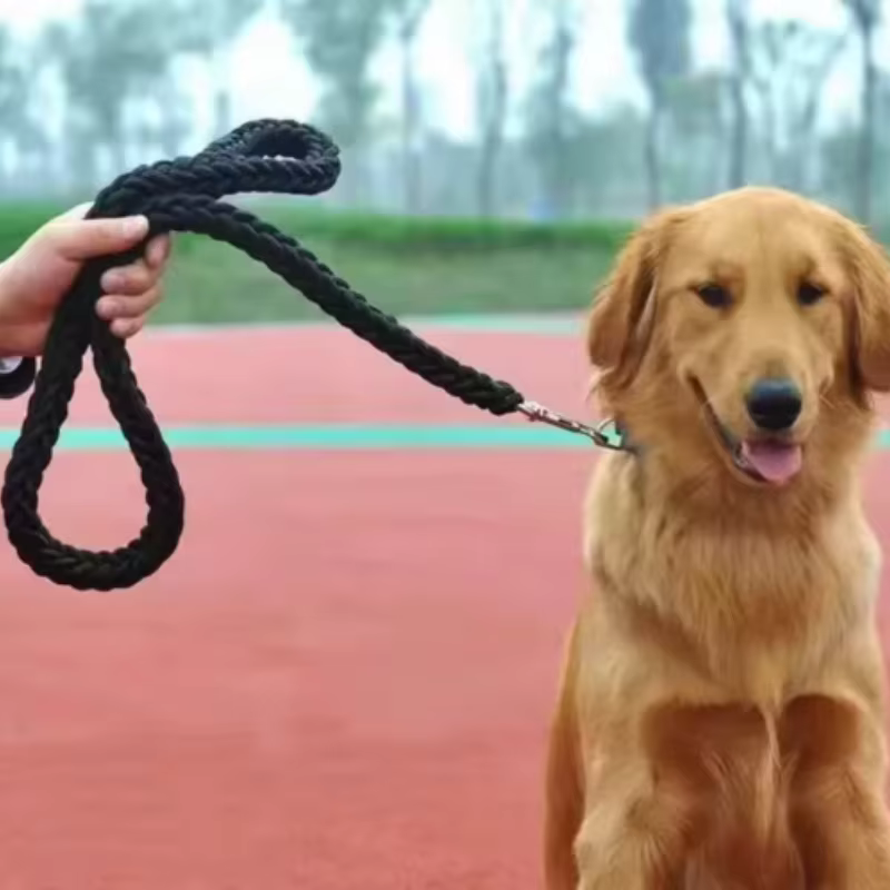 Arnés y Correa de Nylon para Perros Grandes – Paseo y Montaña - imagen 2