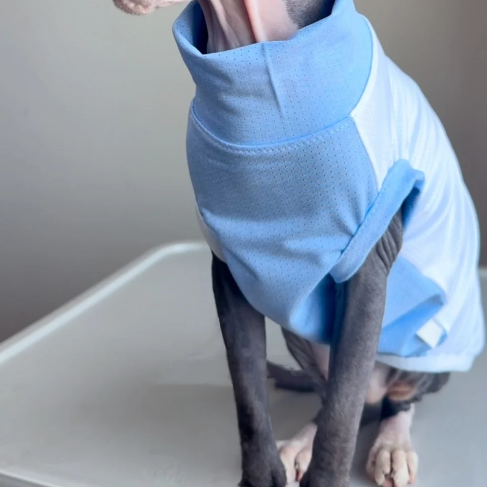 Chaleco transpirable UV de malla azul para Sphynx y perros mini