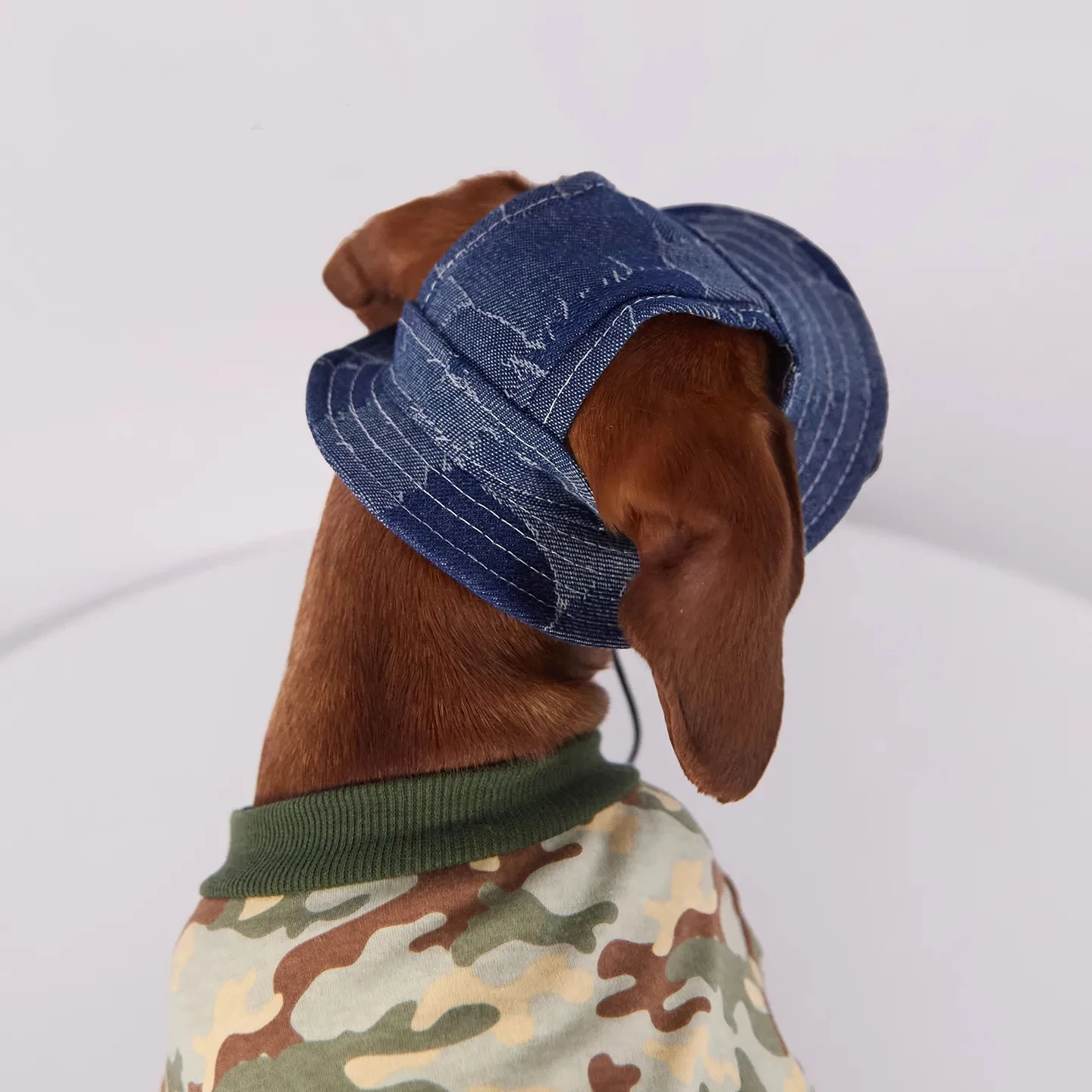 Tela transpirable de la gorra para perros
