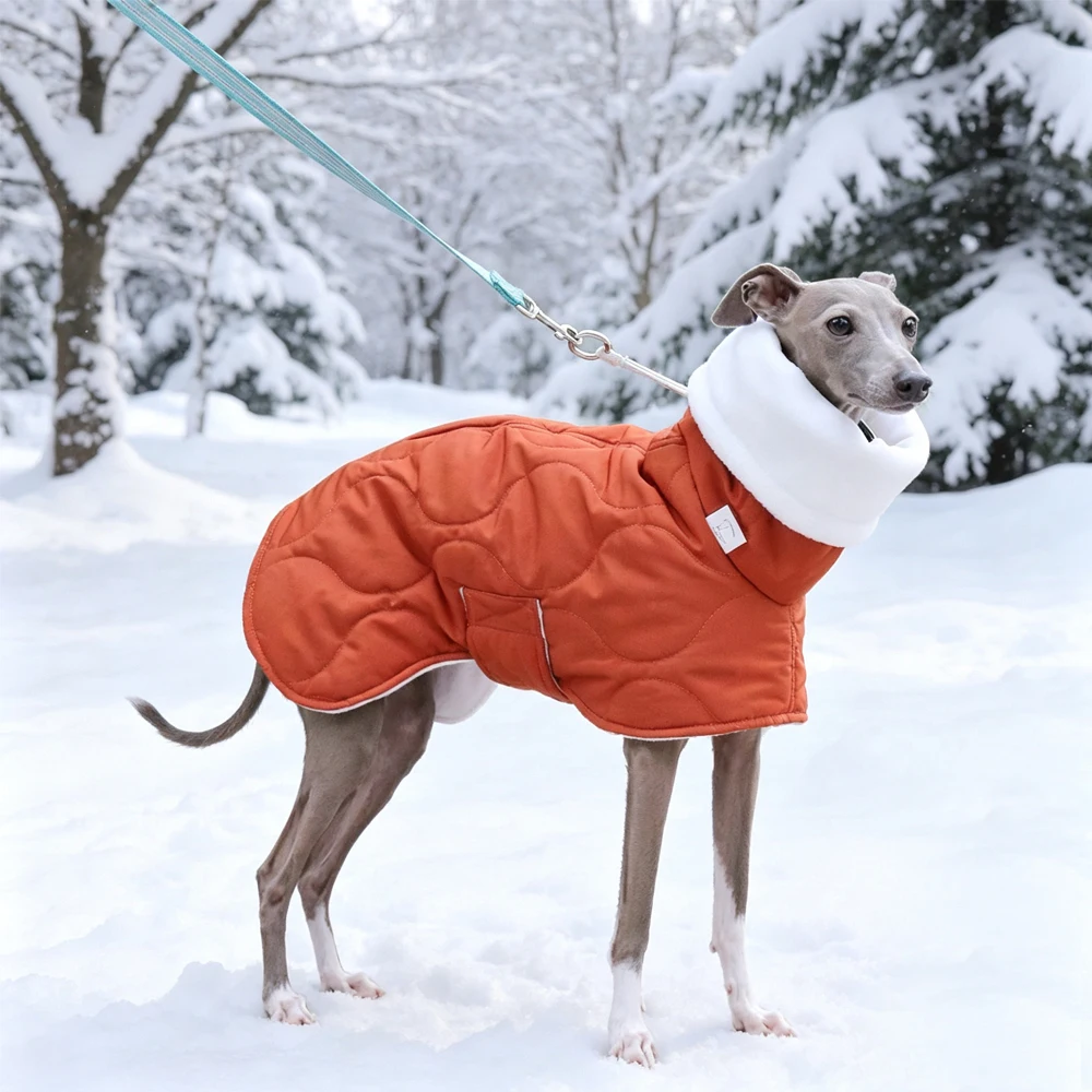 Abrigo invierno naranja algodón para perros medianos, Galgo y Whippet - imagen 5