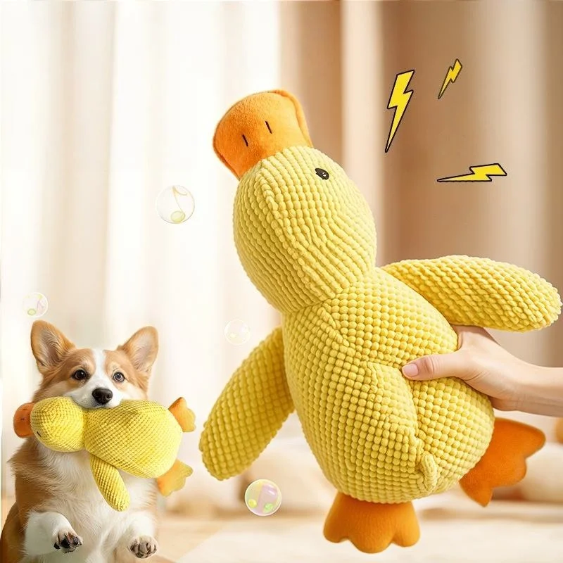 Opciones de entretenimiento para mascotas activas