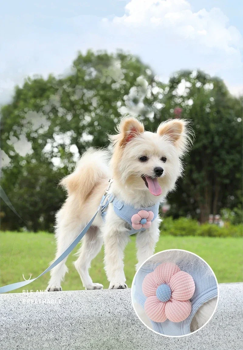 Chaleco arnés para mascota vista frontal
