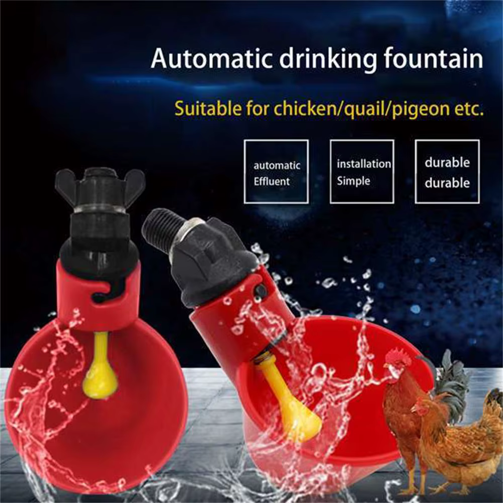 Bebedero automático para aves de corral, codornices y pájaros
