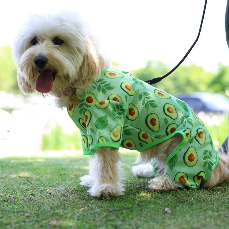 Pijama mono malla verano para perros pequeños: Dachshund y York - imagen 4
