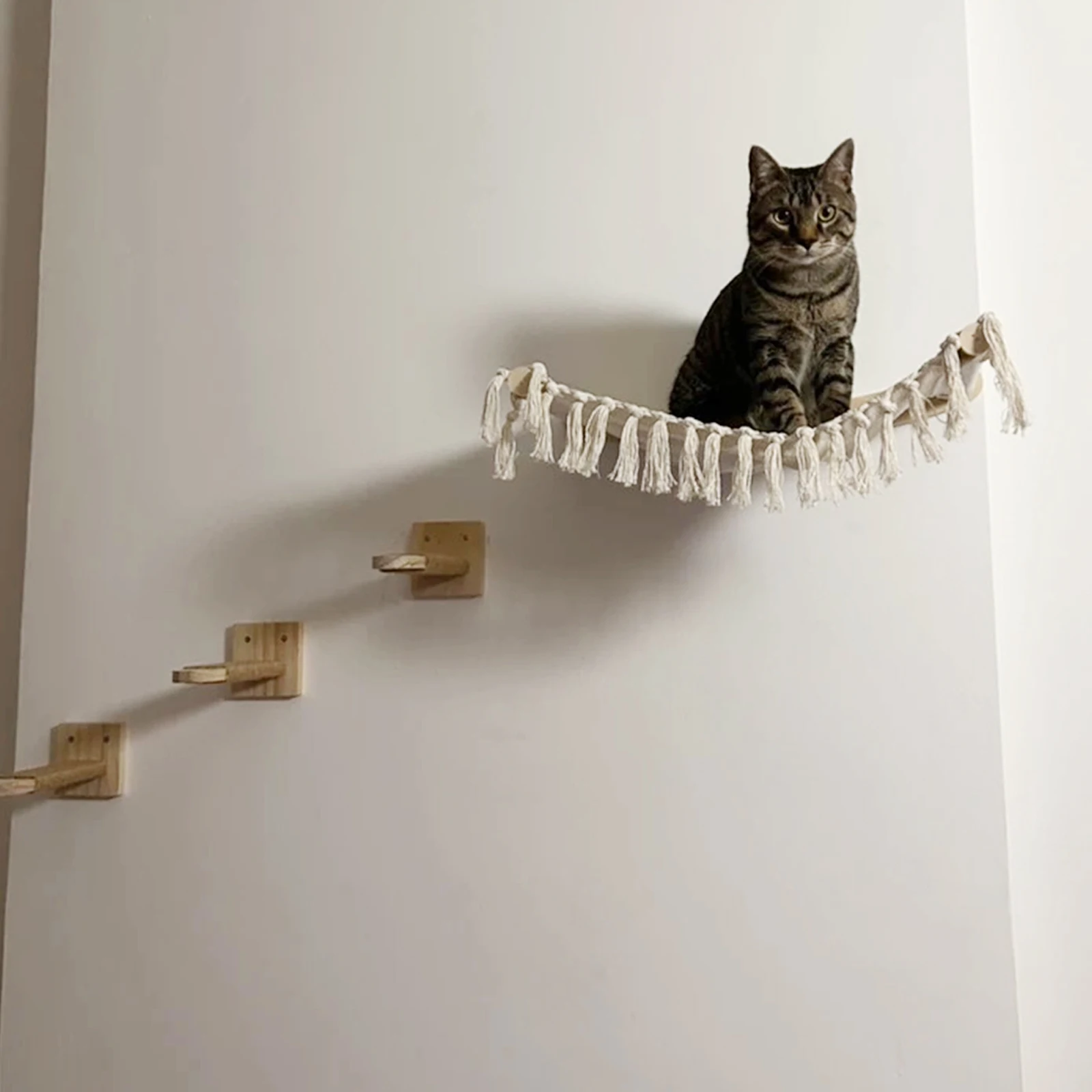 Rascador de pared para gatos: estantes y hamaca en interior - imagen 5