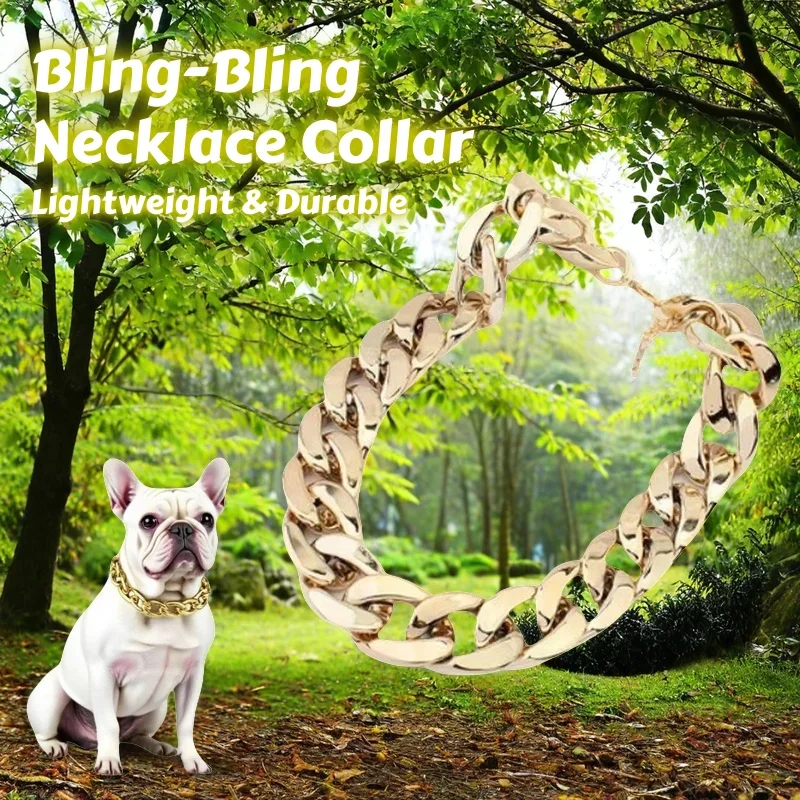Collar ostentoso para Bulldog Francés en vista frontal