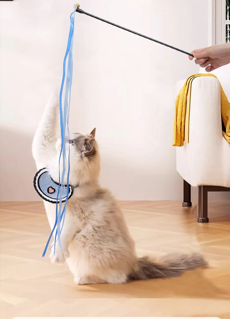 Gato persiguiendo el palo