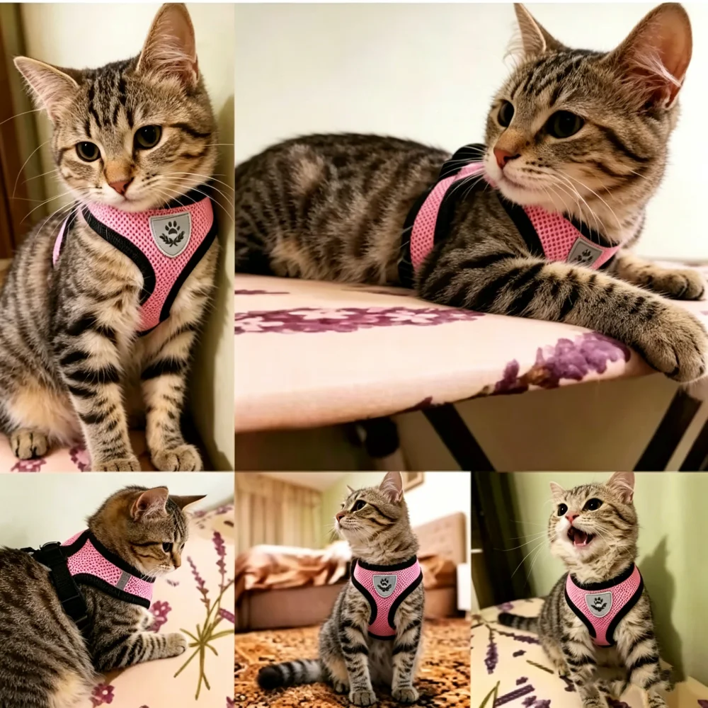 Arnés antiescape transpirable con correa para gato y perro pequeño - imagen 5