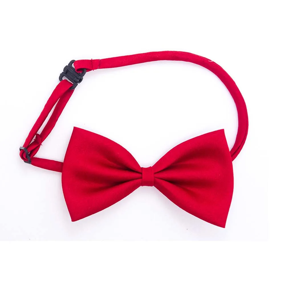 Conjunto de bows para grooming