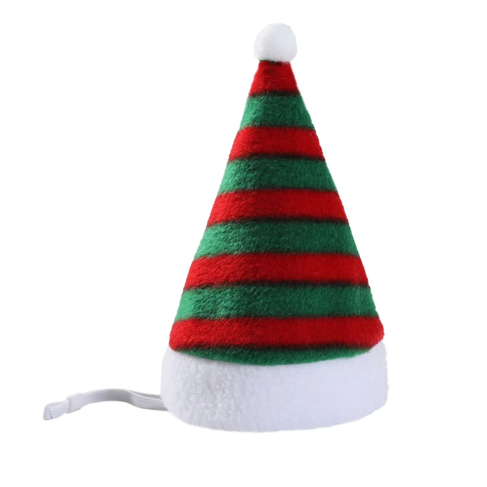 Mascota con gorro divertido