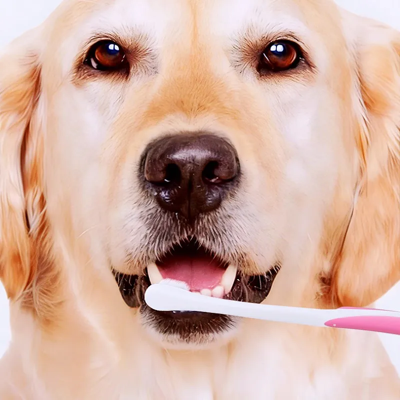 Cepillo dental suave para perros y gatos: limpieza bucal diaria - imagen 4