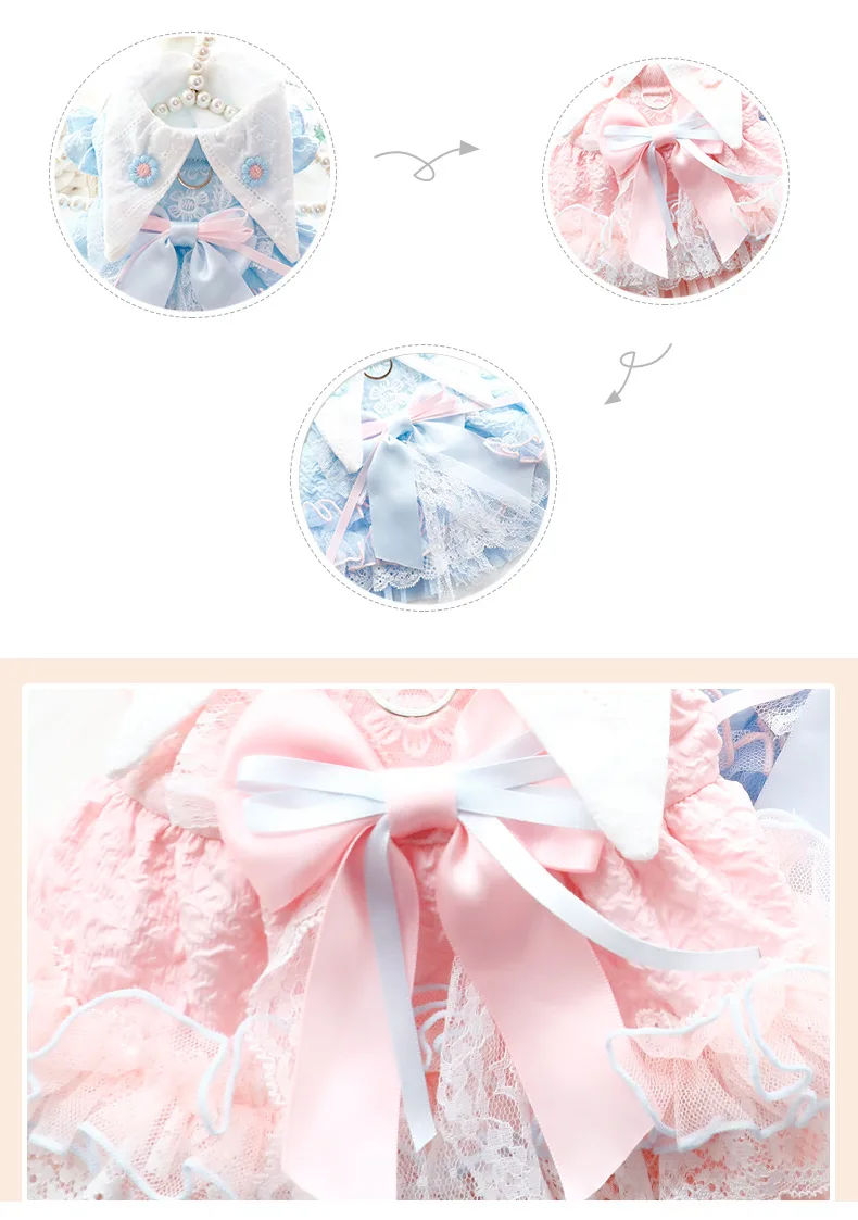 Vestido de princesa para perro en uso
