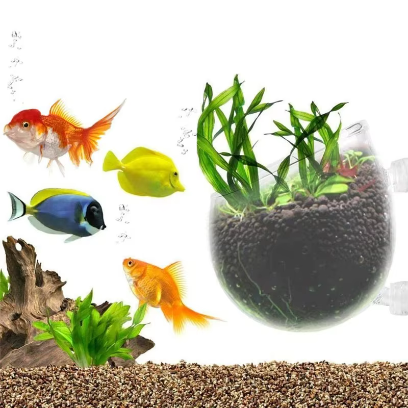 Cilindro vidrio cultivo plantas acuario con ventosas terrario - imagen 5