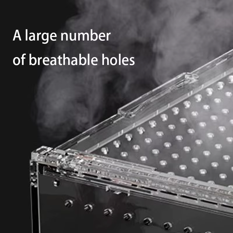 Terrario frontal para reptiles y geckos – Caja acrílica transparente para paisajismo - imagen 2