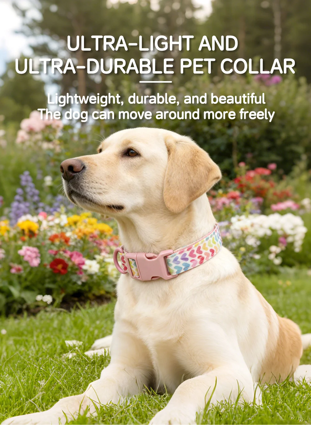 Tallas disponibles del conjunto para mascotas