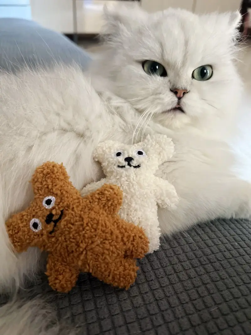 Detalles del peluche reforzado