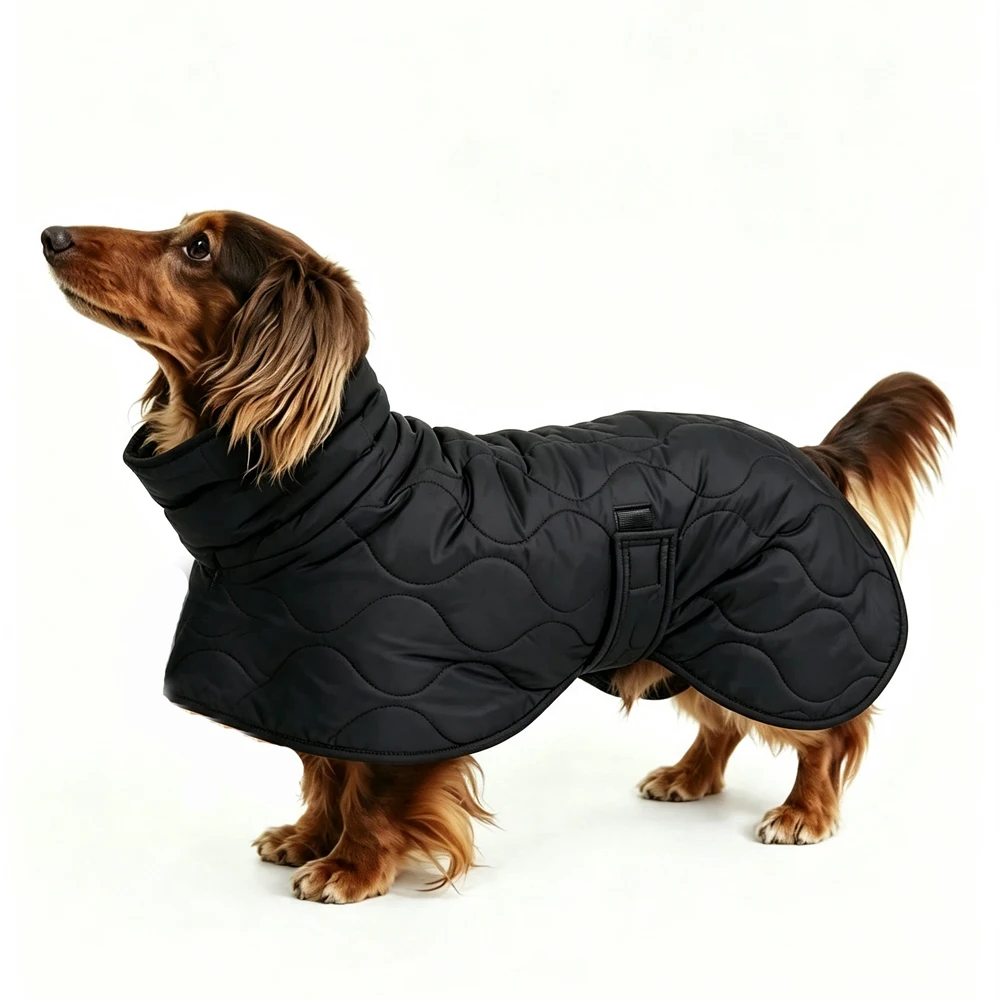 Abrigo impermeable con cinturón ajustable para perros Dachshund - imagen 4