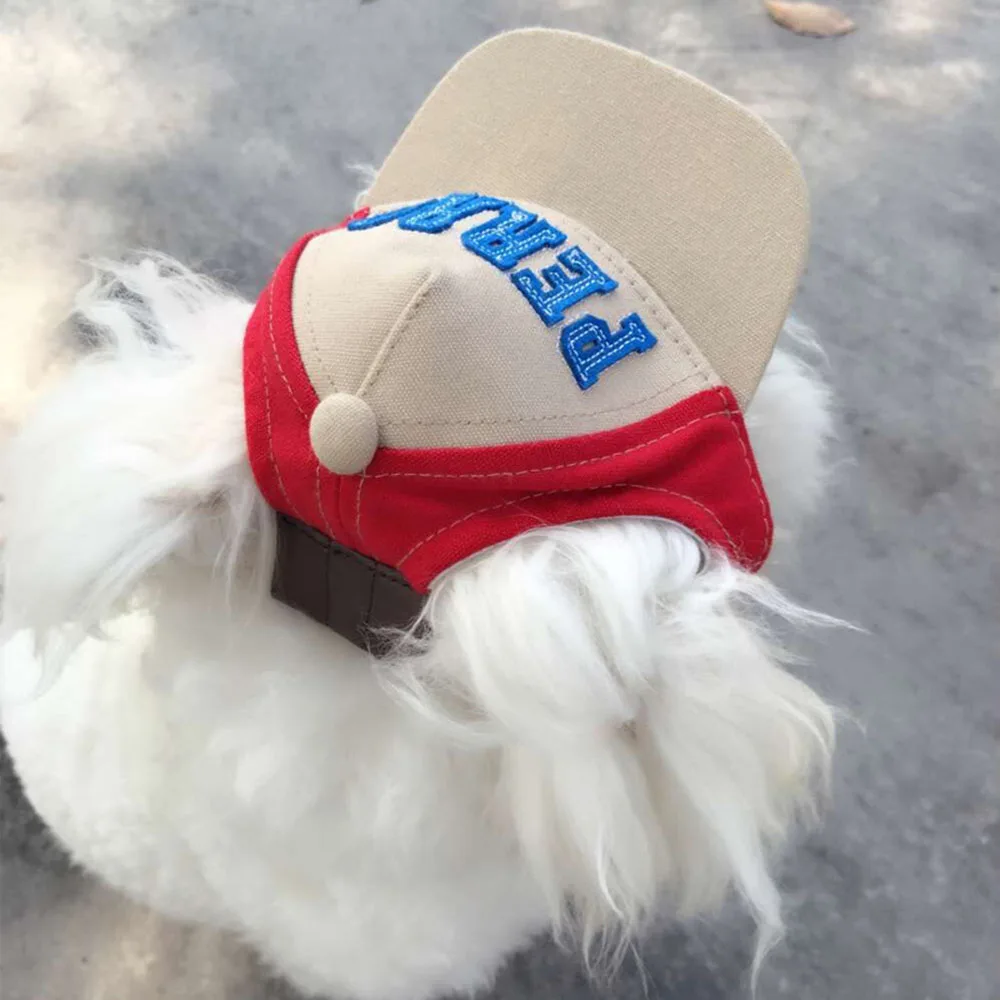 Sombrero de béisbol con visera para mascota verano