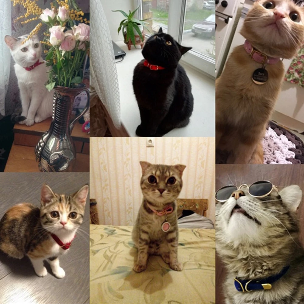 Collar ajustable para gatos y perros pequeños, seguro y resistente - imagen 3