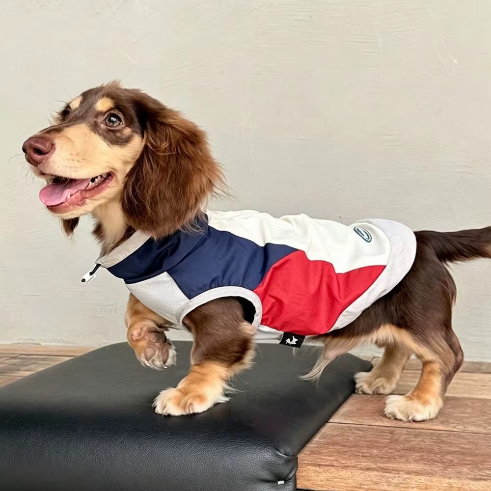 Camiseta refrigerante UPF100+ con cremallera para perro Teckel