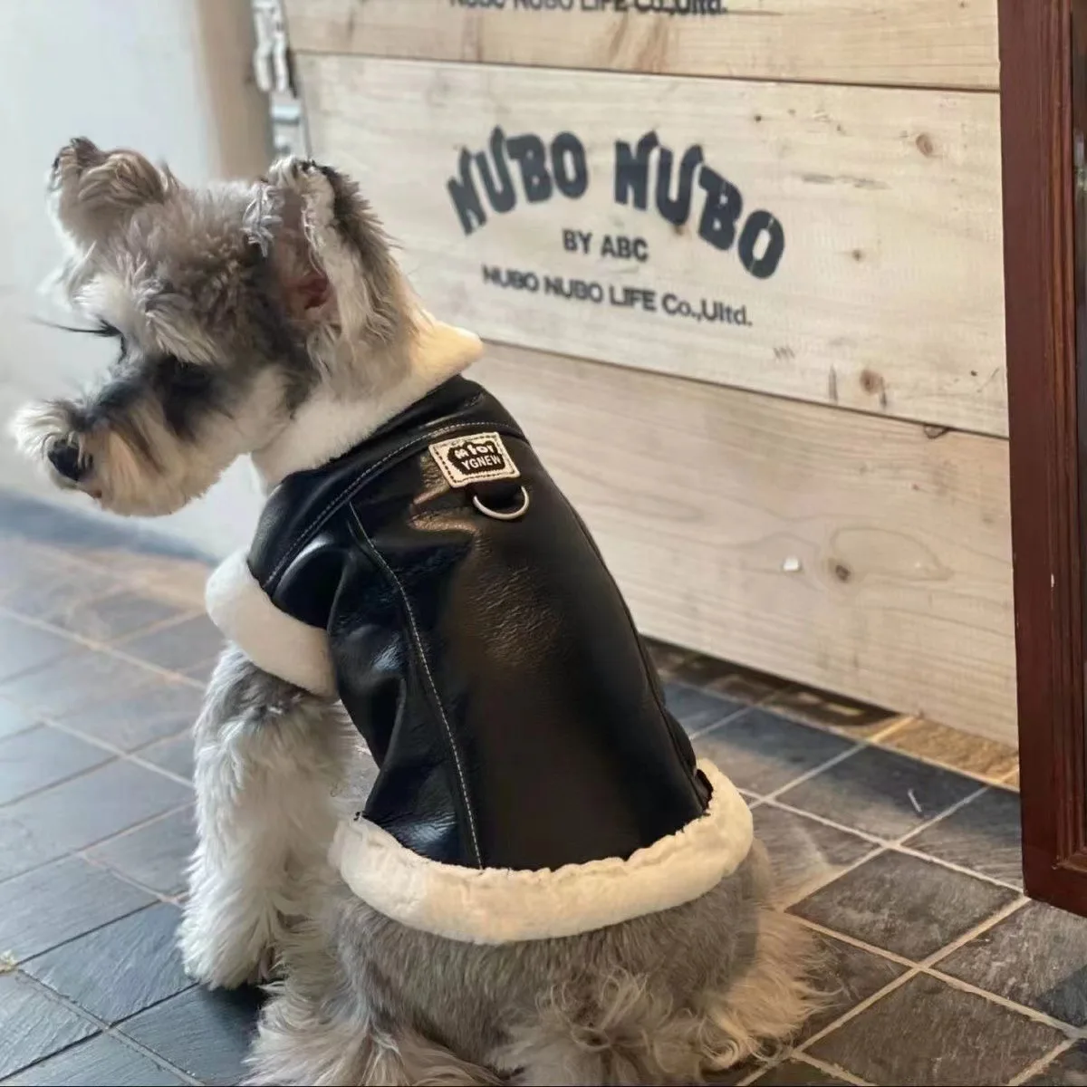 Ejemplo en perro