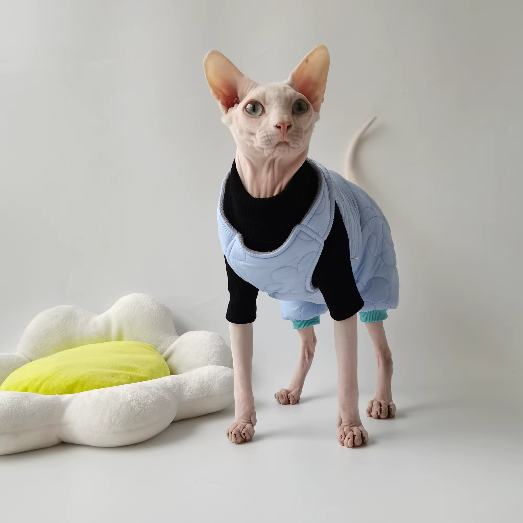 Abrigo acolchado de algodón para gatos Sphynx de invierno - imagen 4