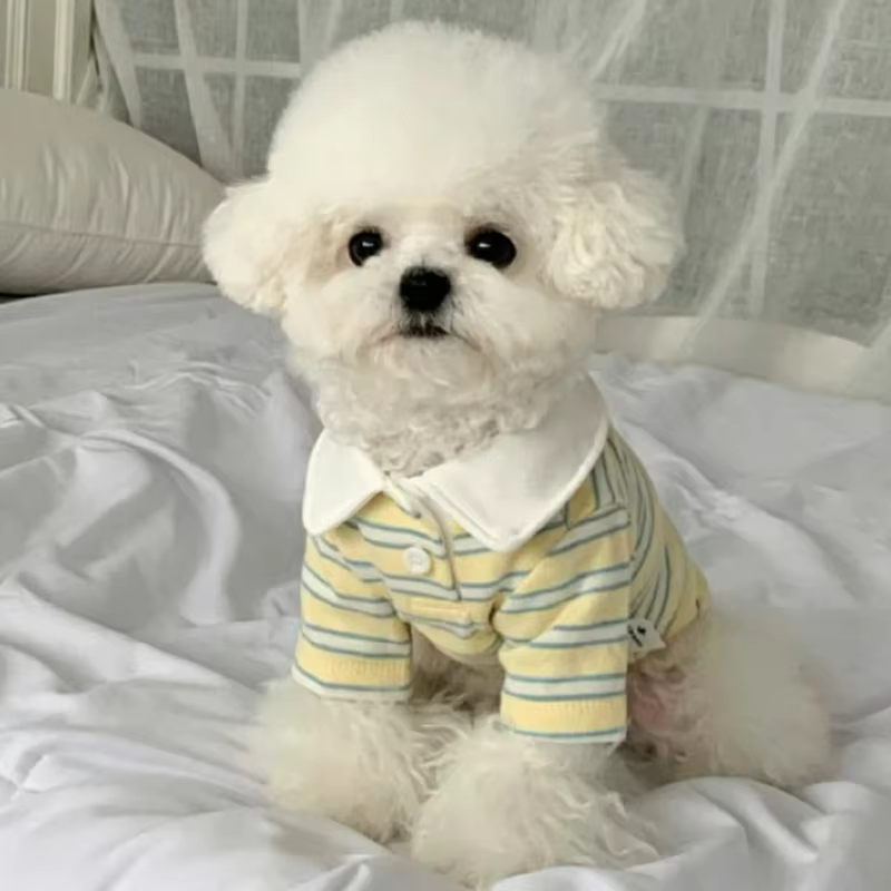 Polo a rayas para perros y gatos – Camiseta ligera de verano - imagen 5